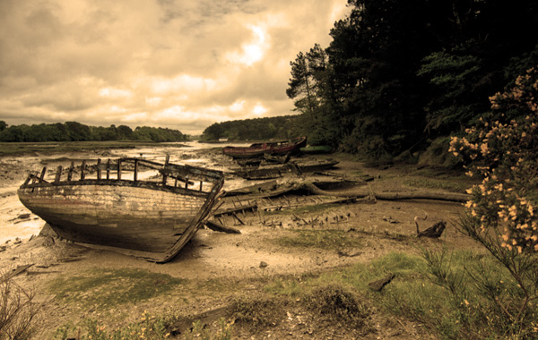 Cokin 005 Sepia 